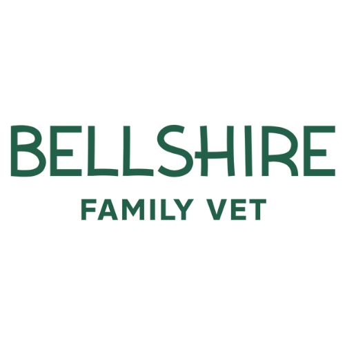 Vet Near Me Nashville, TN 37207 Bellshire Family Vet