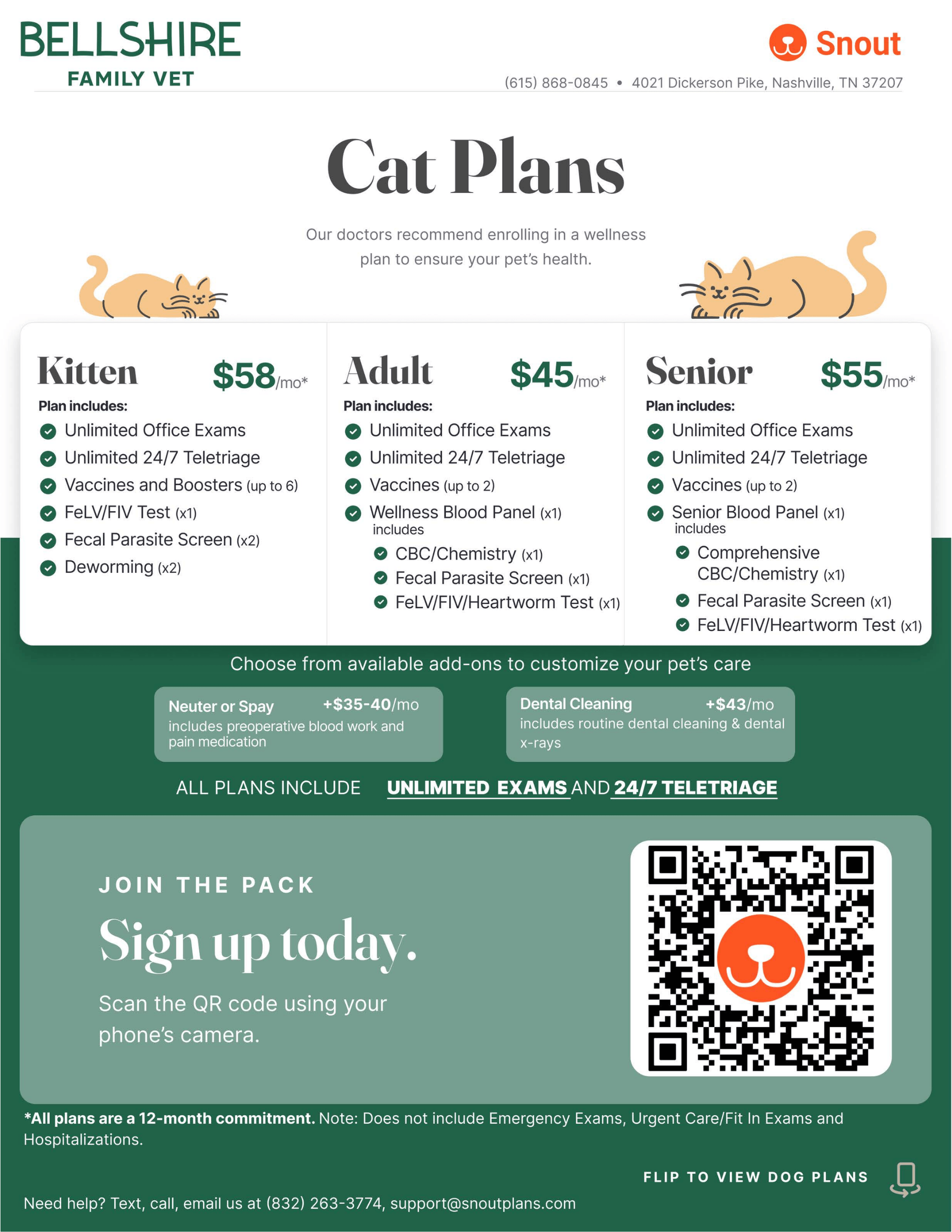 Cat plans graphics
