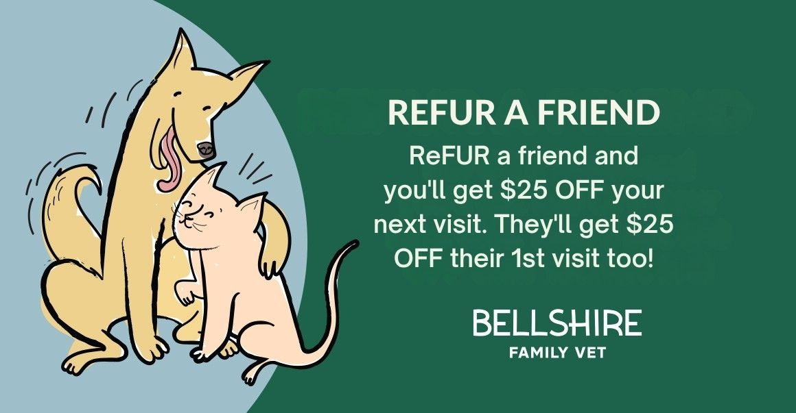 refer a friend illustration